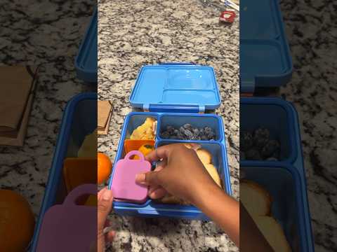 Catching up on lunch videos #schoollunch #lunchbox #lunchboxideas #food #packedlunch