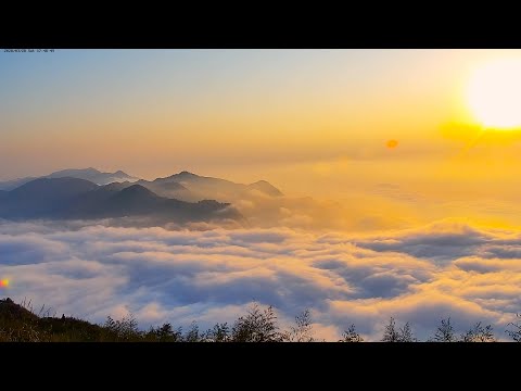 阿里山即時影像-二延平步道-日落-縮時 | Eryanping Trail Sunset Timelapse in Alishan, Taiwan