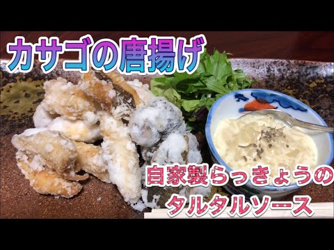 ビールが止まらない！！釣った魚で唐揚げ　超簡単らっきょうのタルタルソース