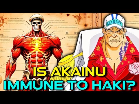 Akainu Anatomy - The Walking-Talking Volcano Who is the Standard of Power for the Marines