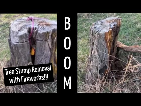 Removing a Tree Stump with Fireworks! (Excalibur Shells)