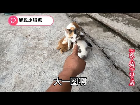 有只小猫仔被困在墙壁里面，赶紧给它解救出来，再去干一些其他活