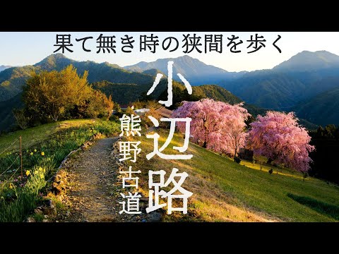 【熊野古道】2泊3日70km。嵐の最高峰を越えて果て無き古道を歩く｜小辺路