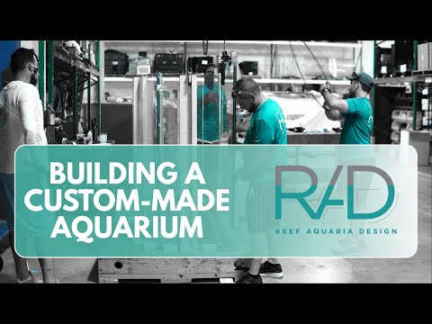 THE ART OF PUTTING ALL THE PIECES TOGETHER - RAD - CUSTOM MADE AQUARIUM - FORT LAUDERDALE, FLORIDA