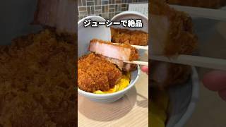 【大人気】日本一分厚い極厚かつ丼！？【門前仲町】