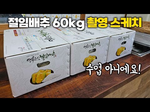 영자씨의 부엌 촬영 모습(절임배추60kg 김장 배추김치)/요리방송 아니에요🙅‍♀️ 구경해보세요!