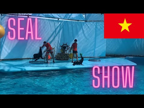 THE SEAL SHOW | KY CO | QUY NHON