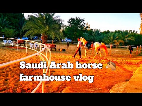 Horse farmhouse vlog