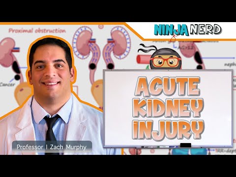 Acute Kidney Injury (AKI) | Clinical Medicine