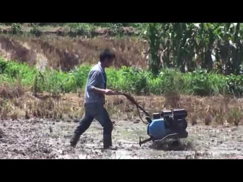 Operation test of paddy field management machine