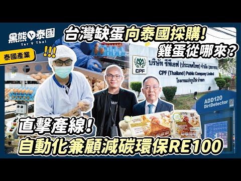 台灣缺蛋向泰國採購從這出貨！直擊正大食品先進雞蛋產線｜泰國產業