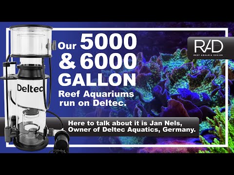 TALKING ABOUT HOW & WHY ALL OUR BIG AQUARIUMS RUN ON DELTEC WITH, DELTEC AQUARISTIC OWNER, JAN NELS.