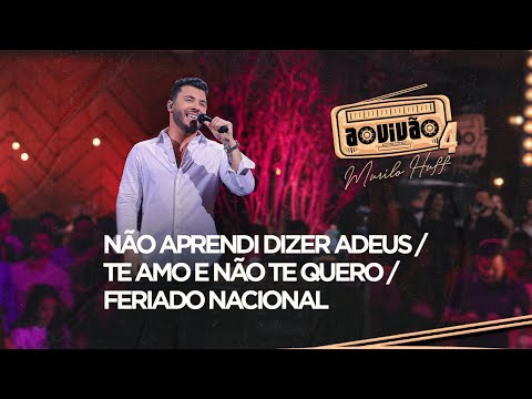 Murilo Huff - Não Aprendi Dizer Adeus / Te Amo e Não Te Quero / Feriado Nacional (Ao Vivão 4)