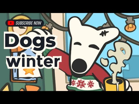 Dogs Hot Update Dogs winter airdrop