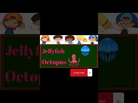 Vocabulary Words for Kids/ English Vocabulary for Kids/ Vocabulary Video/ Kids Education / For Kids