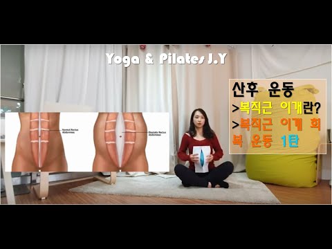 [산후운동 / 산후 필라테스] 복직근 이개 회복 1탄