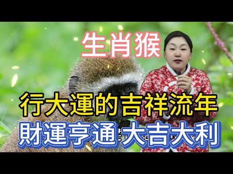 生肖猴行大運的年份！正財橫財滾滾而來，事業騰飛勢不可擋，家庭美滿幸福洋溢，生活如意吉祥安康，好運爆棚擋都擋不住！#生肖 #熱門 #風水 #正能量 #運勢 #佛教