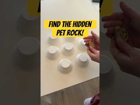 Find the Hidden Pet Rock (Final Boss Level!)