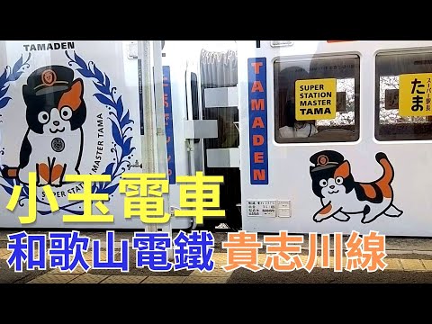 和歌山電鐵｜貴志川線｜貓迷必訪｜小玉電車｜草莓電車｜梅星電車｜日本鐵道之旅｜大阪近郊｜たま駅長｜貓站長｜日本自由行｜日本關西｜和歌山 貴志｜貴志車站｜日本觀光列車｜小玉神社｜二代玉｜和歌山自由行