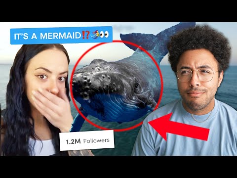 TikTok's Terrible Mermaid Conspiracies