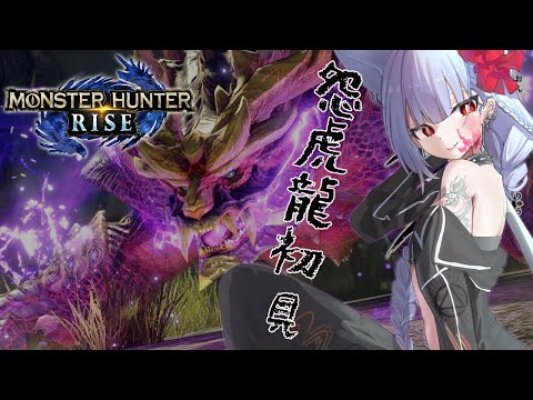 【MHR】初見怨虎龍！繼續測試RISE｜魔物獵人崛起