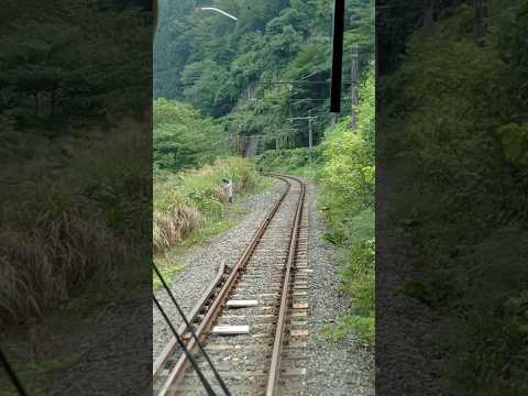 周り緑 #自然 #電車 #train #大糸線 #小谷村 #たびその #長野県 #鉄道 #チャンネル登録お願いします #宇宙巫女帰還する