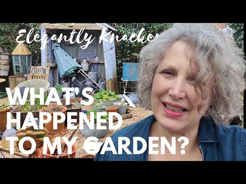 HOW DID MY GARDEN GET SO MESSY GARDEN #renovationvlog