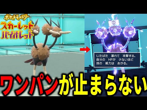 ワンパンが止まらない…ドードリオを"あのテラス"にしたらとんでもない事になったｗｗｗ【ポケモンSV】