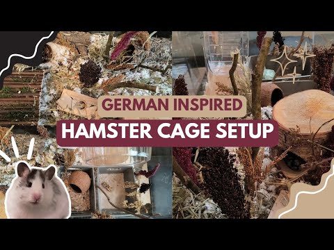 Natural Hamster Cage Setup 🐹🌿// upgrading my hamster's cage setup