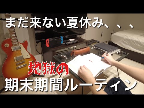 【study vlog】夏休みを目指して大学の期末試験、レポートをこなしていく大学生の平日地獄勉強ルーティン／社会人を目指して／夏休み前