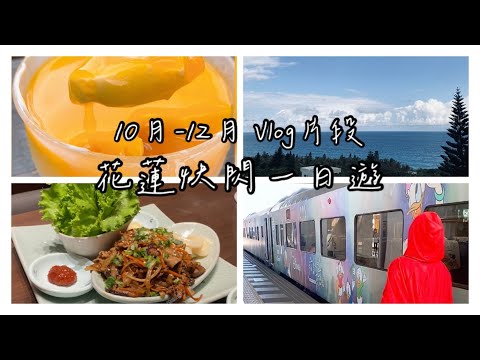 Vlog🎄環島之星列車🚄花蓮快閃一日遊/山度空間看海/桃園最美圖書館📚中正紀念堂/自己印市集/涓豆腐