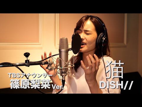 猫 - DISH// Covered by TBS篠原梨菜【女子アナが本気で歌ってみた】