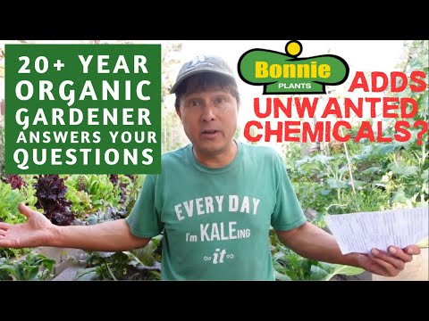 Do Bonnie Plant Starts Contaminate Your Organic Garden? + More Q&A