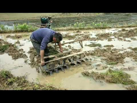 Little Iron Cow is a good helper for plowing fields