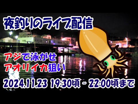 【アオリイカ】小田原方面 漁港内 アジの泳がせ ウキ釣り ライブ配信（20241123）