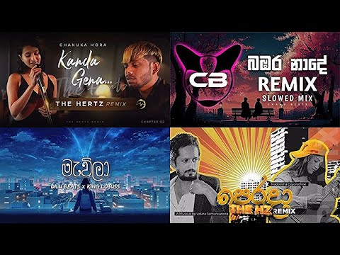 Manoparakata Sinhala Songs Playlist ( THE HERTZ & CHANU BEATS Remix Songs )