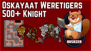 Oskayaat Weretigers | 500+ Knight | Tibia