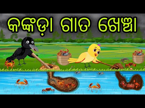 କଙ୍କଡା ଗାତ ଖେଞ୍ଚା | Kankada Gata Khencha | Tiki Chadhei Gapa | Odia Chadhei Gapa | New Story