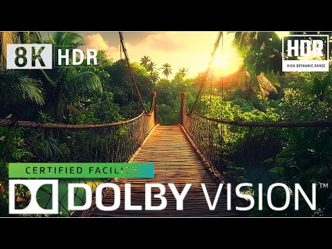 Special AMBIENCE DOLBY VISION 4K HDR 60 FPS Dolby ATMOS!