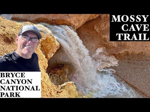 Bryce Canyon National Park | Mossy Cave Trail