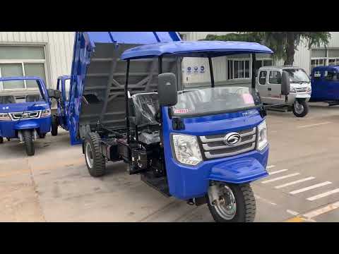 RHD diesel tricycle guta tanzania heavy loading motocarro