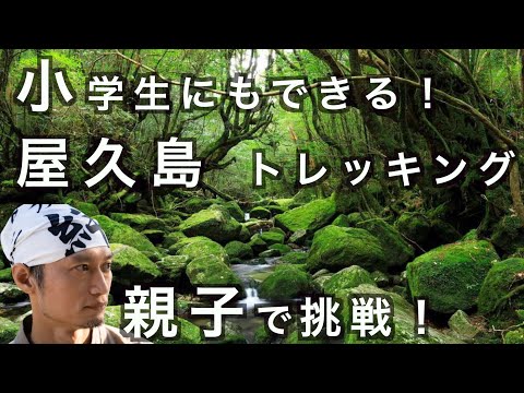 【必見】屋久島で絶景！白谷雲水峡と縄文杉トレッキングの旅　の話