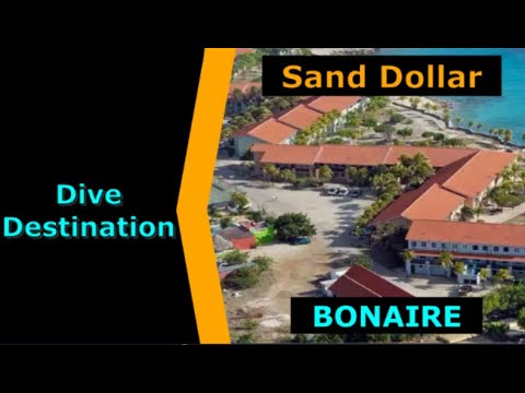 Diving Bonaire, Sand Dollar, Destination Spotlight for Scuba.Digital The #1 Online Dive Show