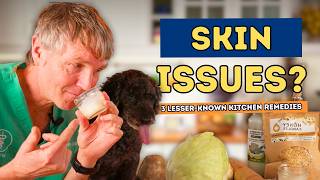 Lesser-Known Kitchen Remedies for Skin Inflammation, Pain, and Allergies in Dogs and Cats