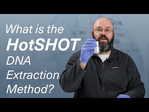 What is the HotSHOT DNA Extraction Method?