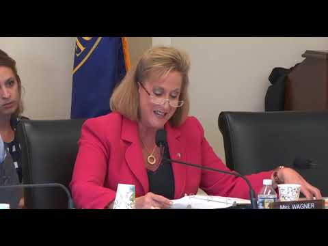 Wagner Speaks at HFAC Hearing on China