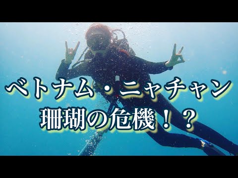 【ベトナム・ニャチャンで体験ダイビング】三上ナミのベトナム乱歩vol.150