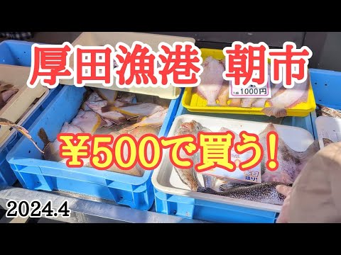 【北海道】厚田港朝市㊗️開幕！500円で面白い魚が買える！？いざ出陣！！👊