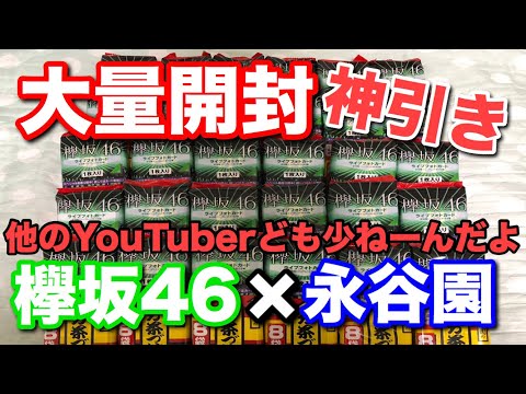 【欅坂46】欅坂46×永谷園のお茶漬け大量開封！