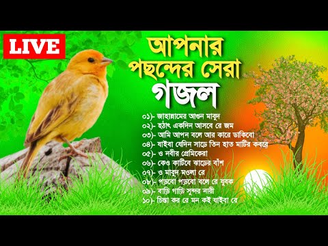 🔴 Live Gojol | সকাল বেলায় গজল গুলি শুনুন জীবন বদলে যাবে | Bangla Gojol | Madani Gajal TV